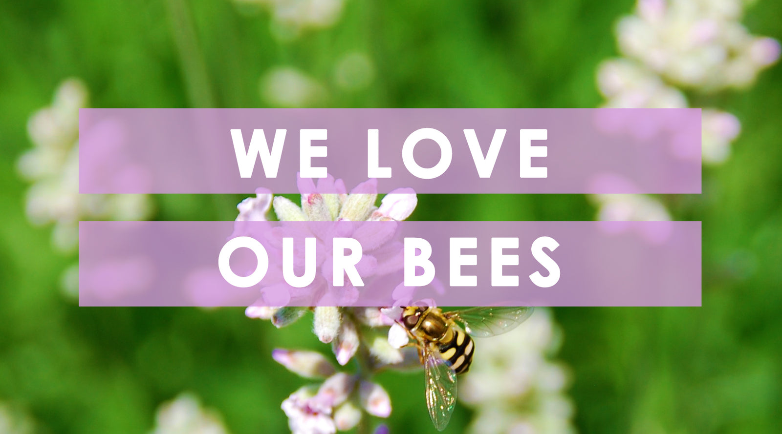 Health Benefits of Beeswax Candle Wax Melts